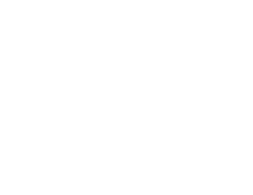 Journal International Experience